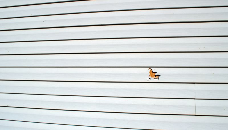 Replacement of Vinyl Panels